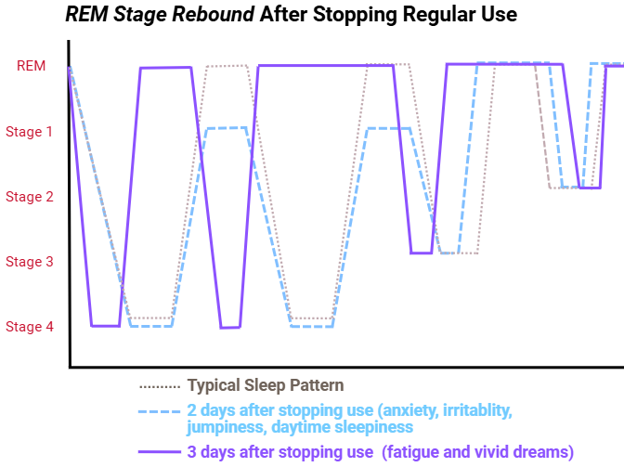 REM Stage Rebound
